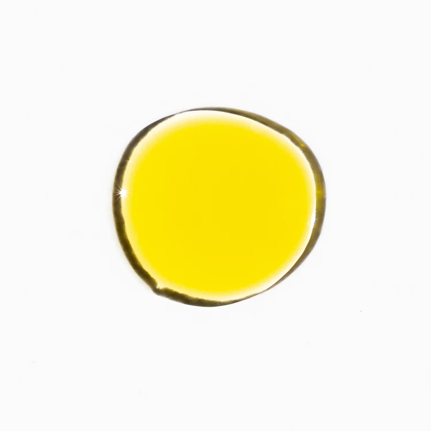 Vitamin C & Turmeric Face Oil